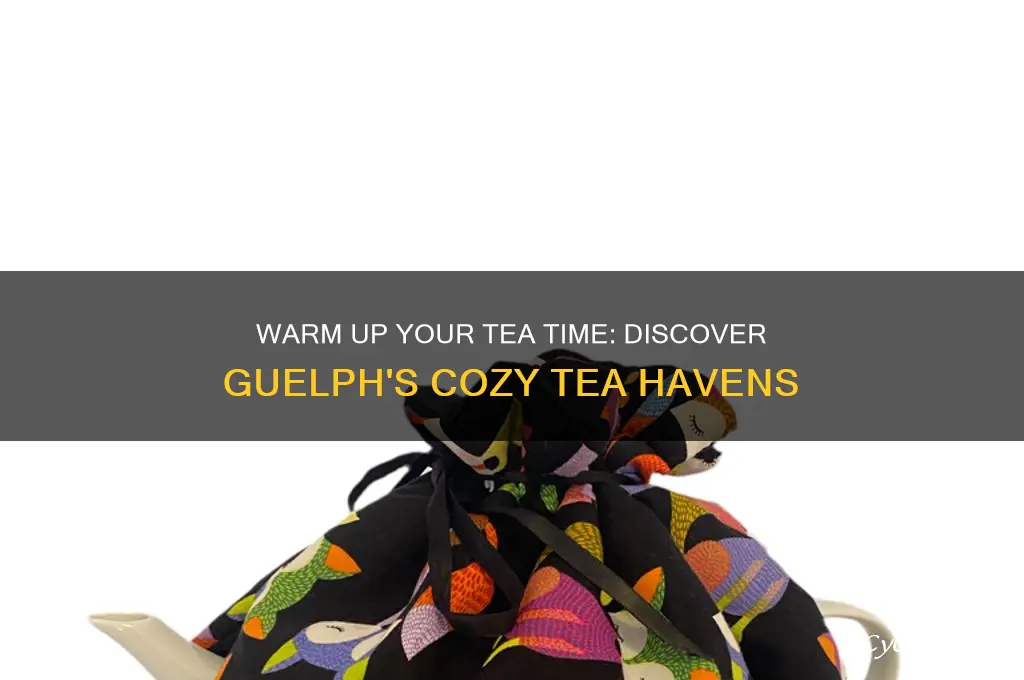 tea cozy guelph