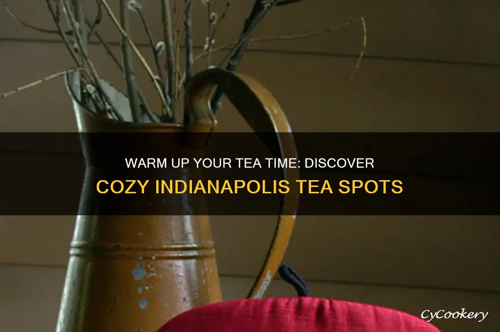 tea cozy indianapolis