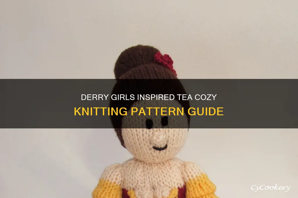 tea cozy pattern from derry girls