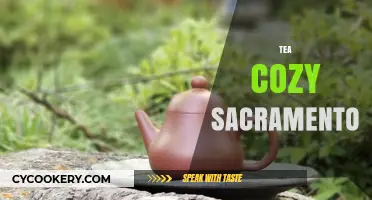 Cozy Tea Haven: Sacramento's Best Spots for Warmth and Flavor