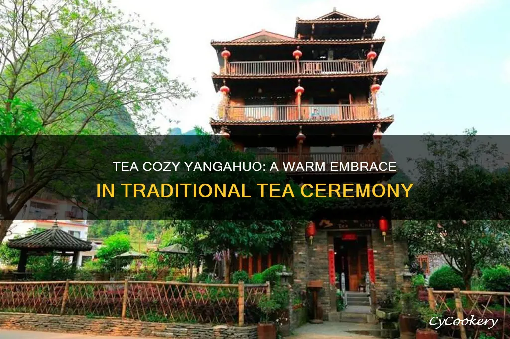 tea cozy yangahuo tea ceremony