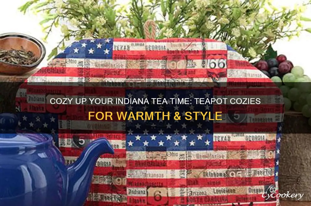 teapot cozy indiana tea cozies