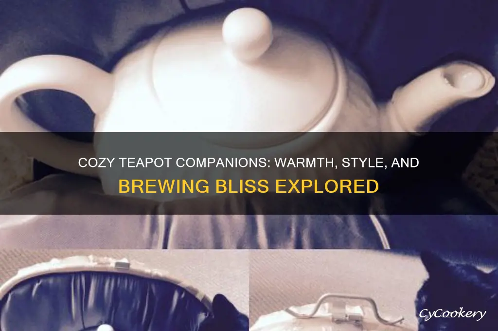 teapots and cozies