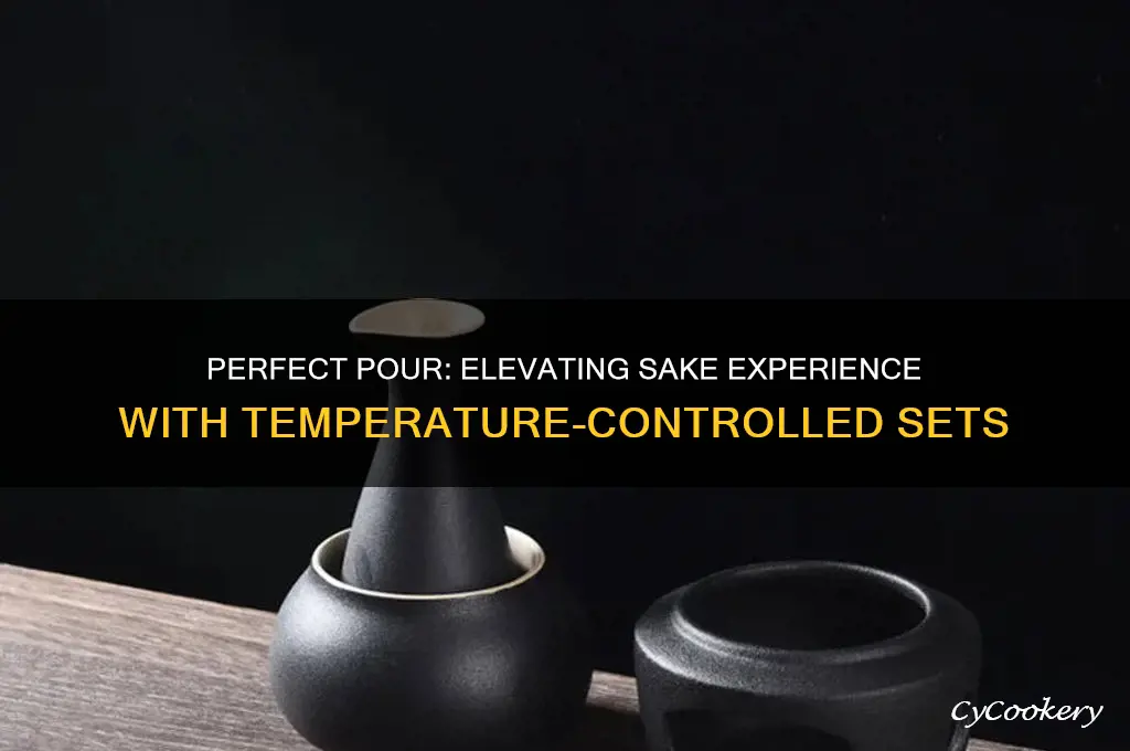 temperature sake set