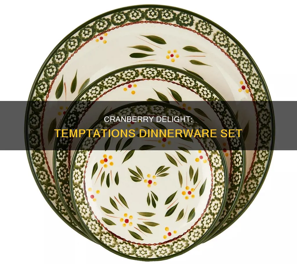 temptations old world dinnerware set cranbery