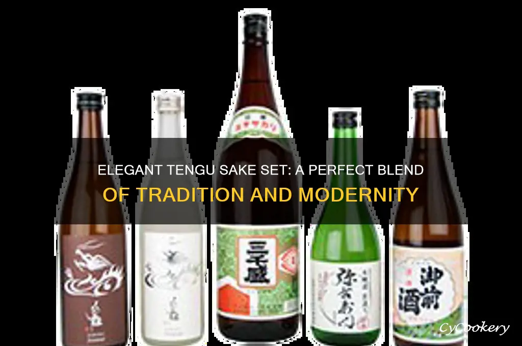 tengu sake set