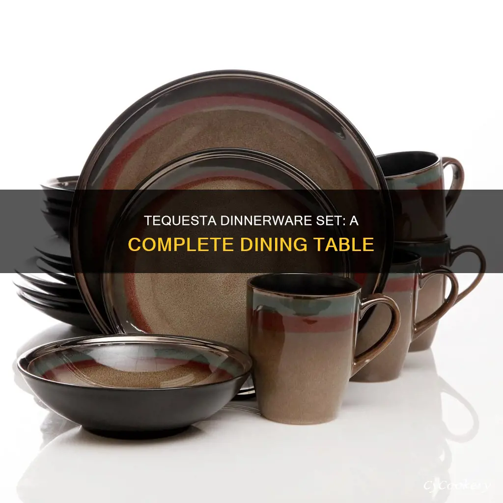 tequesta 16 piece dinnerware set by gibson