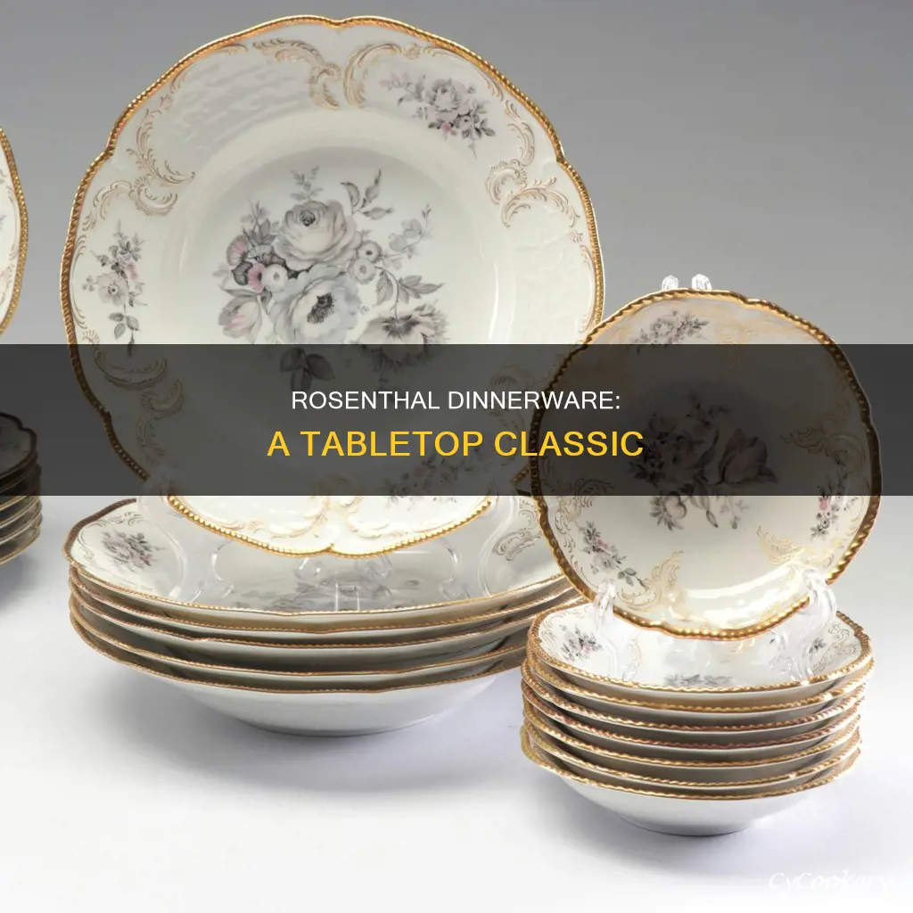 thomas rosenthal dinnerware set