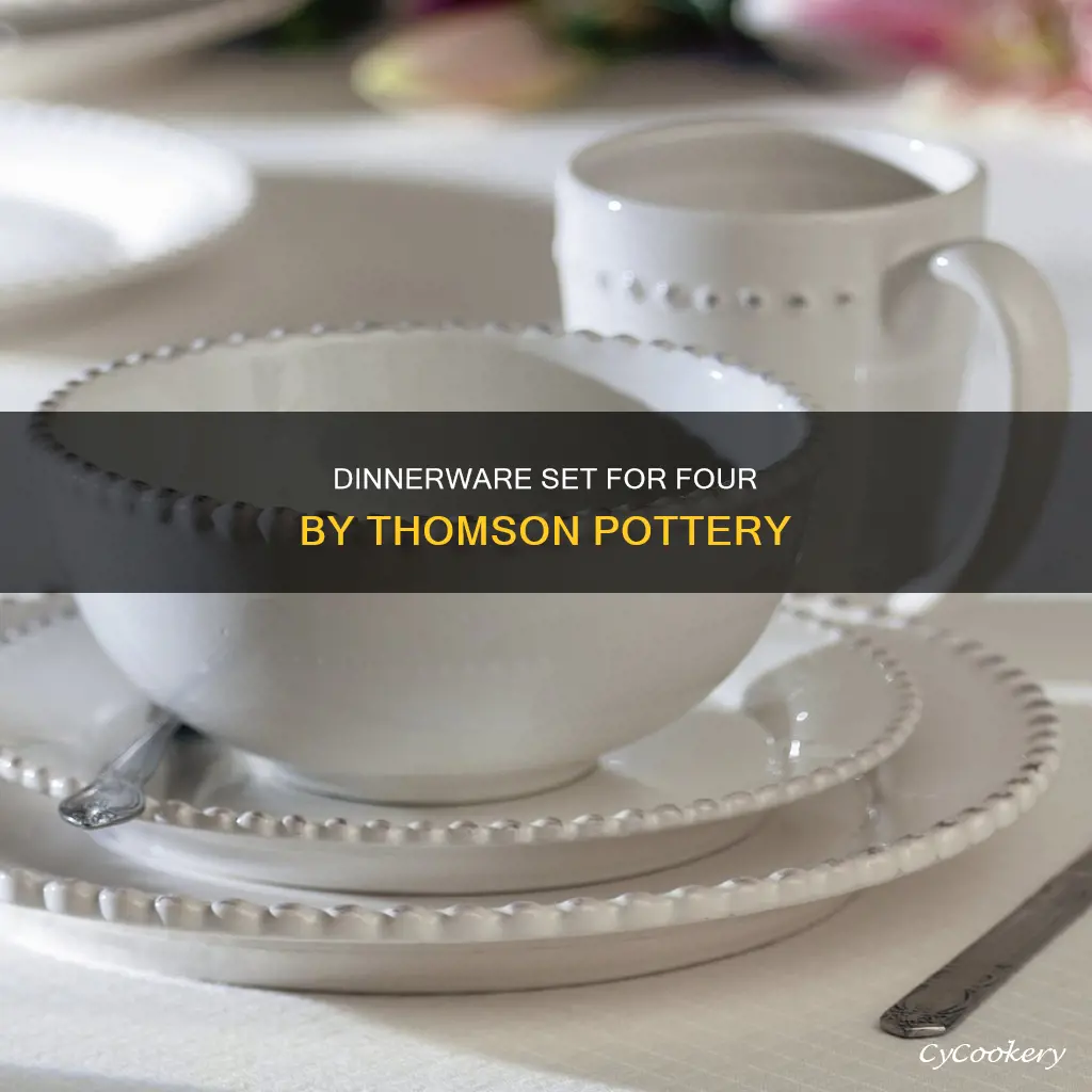 thomson pottery bianca 16 piece dinnerware set