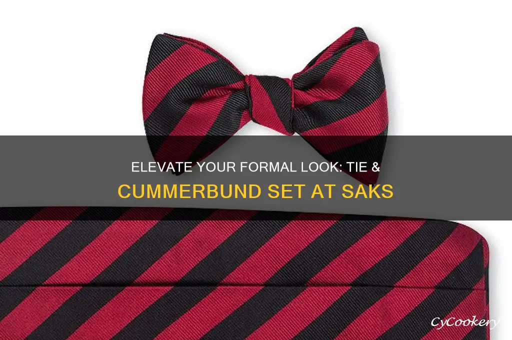 tie cummerbund set saks
