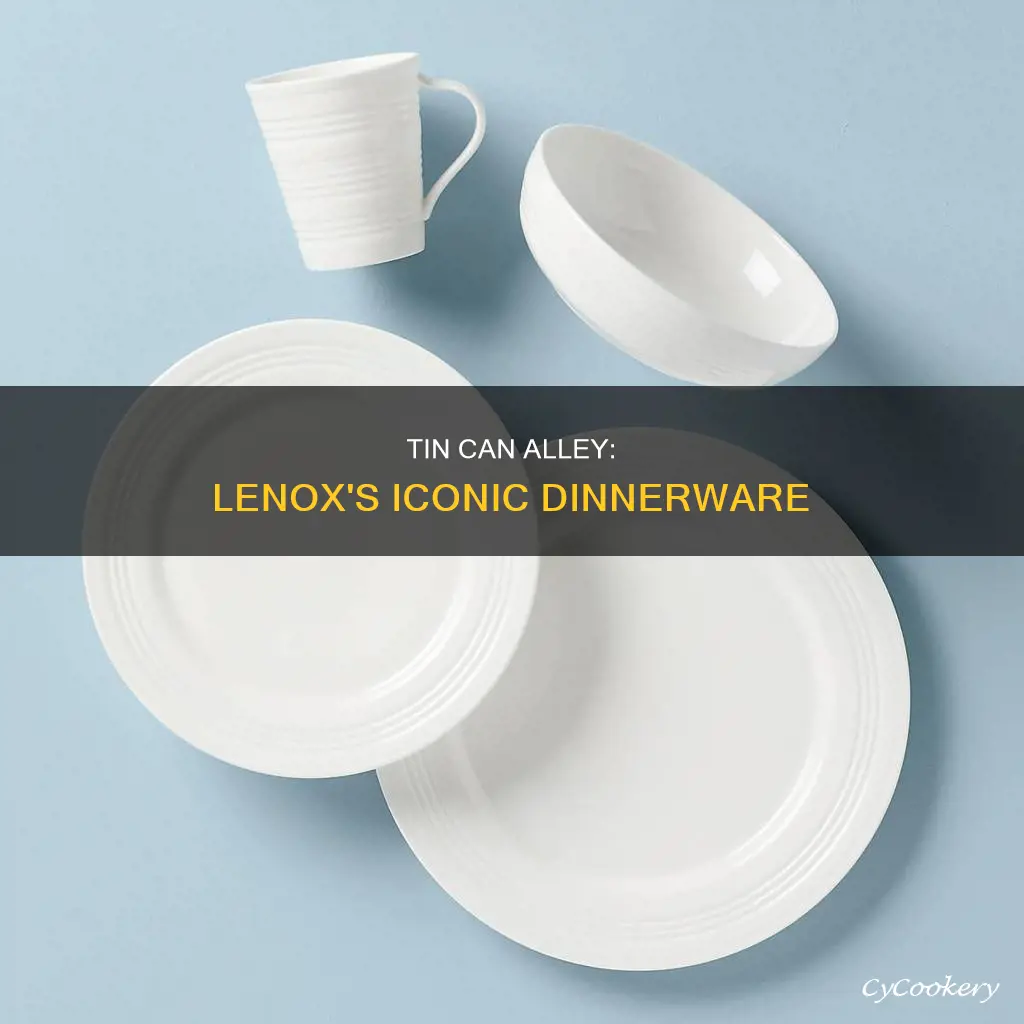 tin can alley dinnerware set from lenox