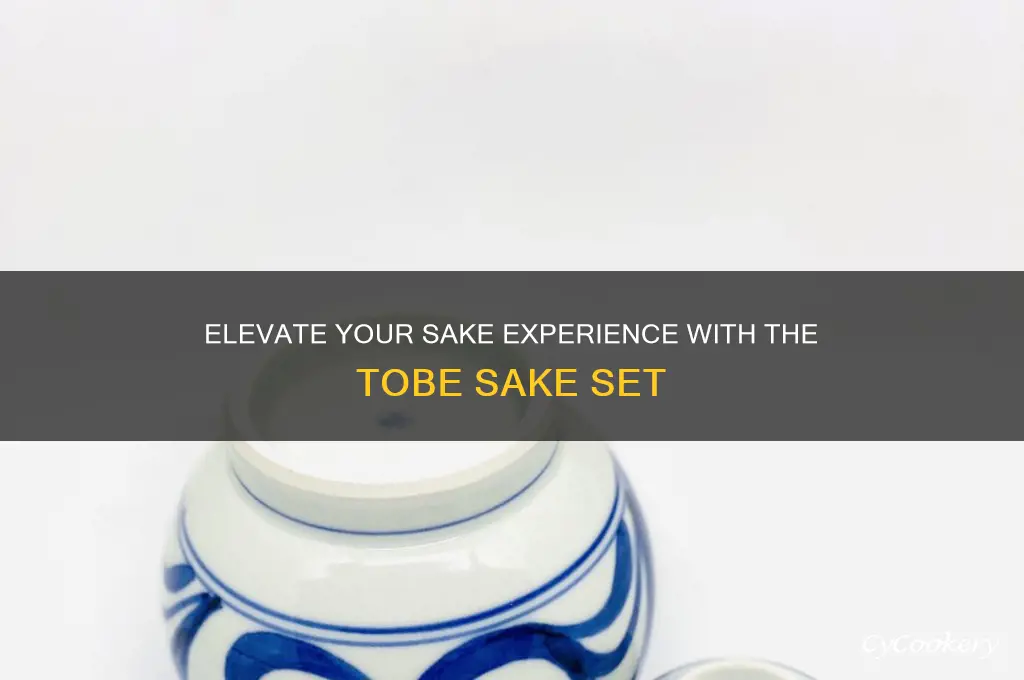 tobe sake set