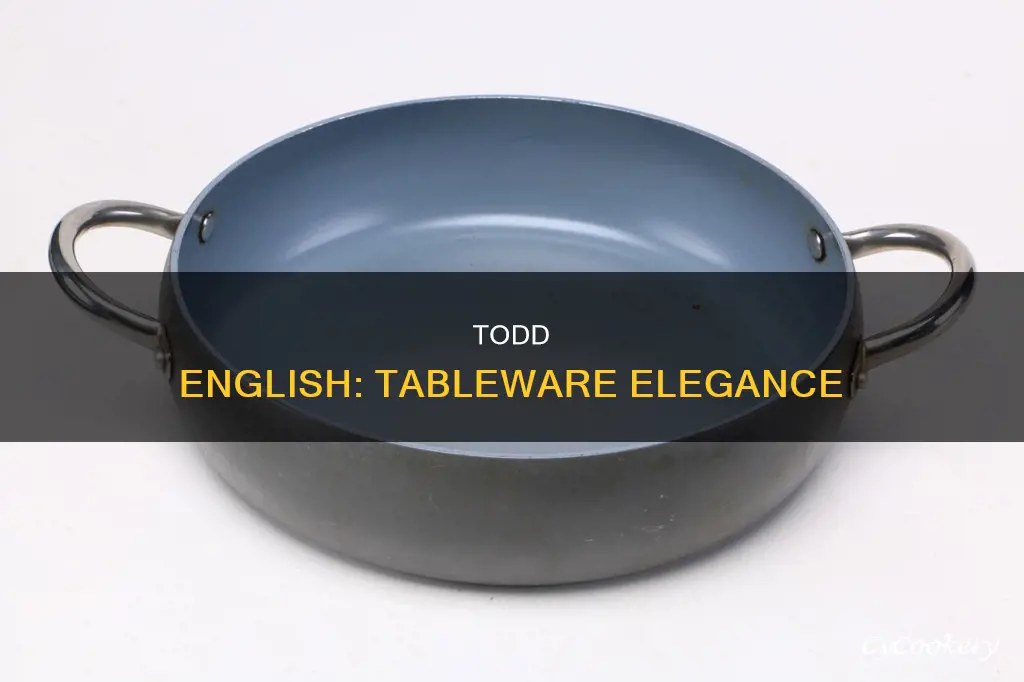 todd english dinnerware sets