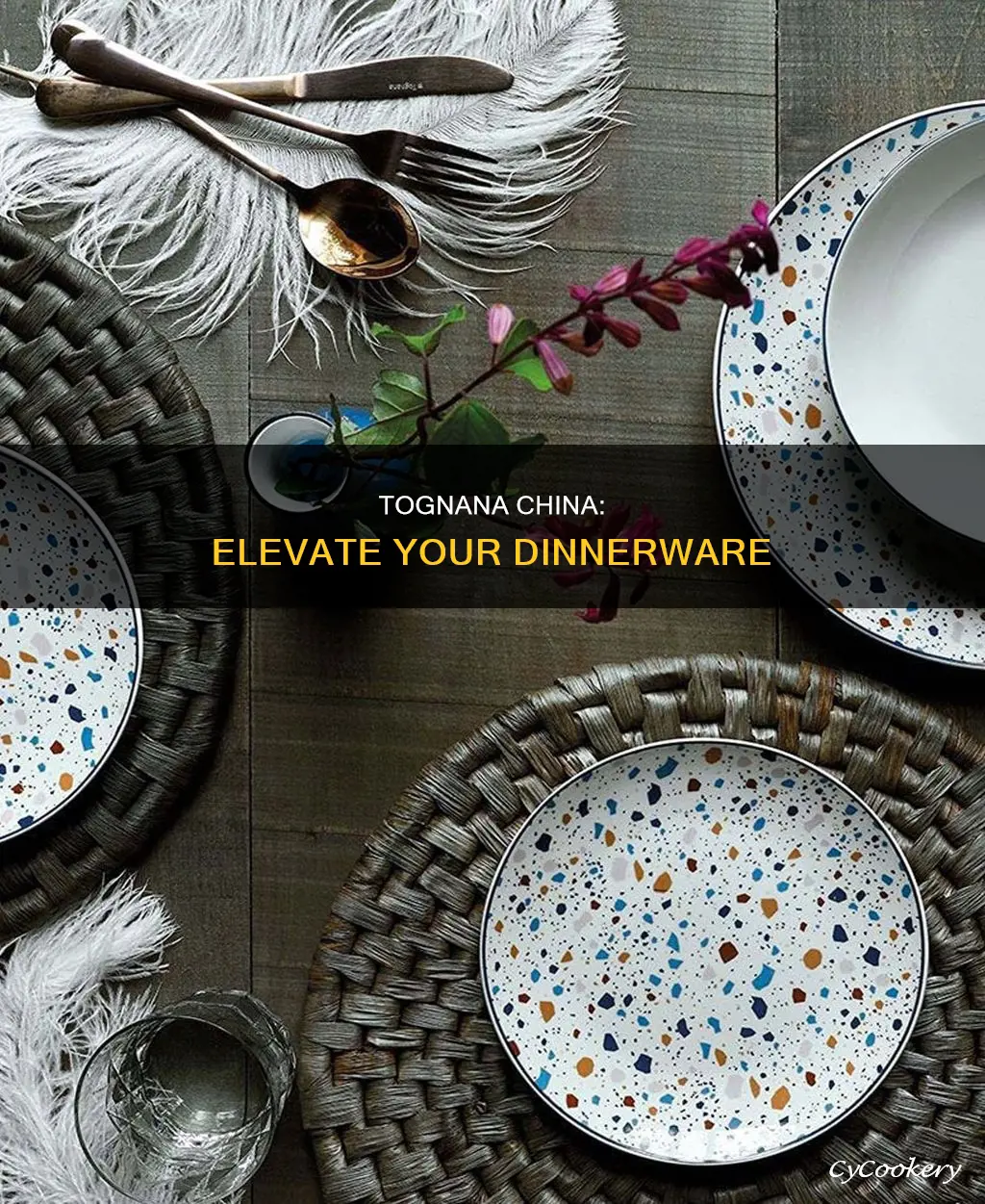 tognana china dinnerware set