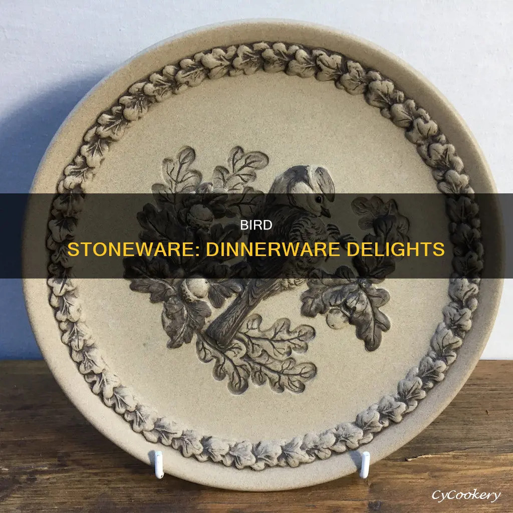 traditional stoneware 16 piece dinnerware plate settings with bird design