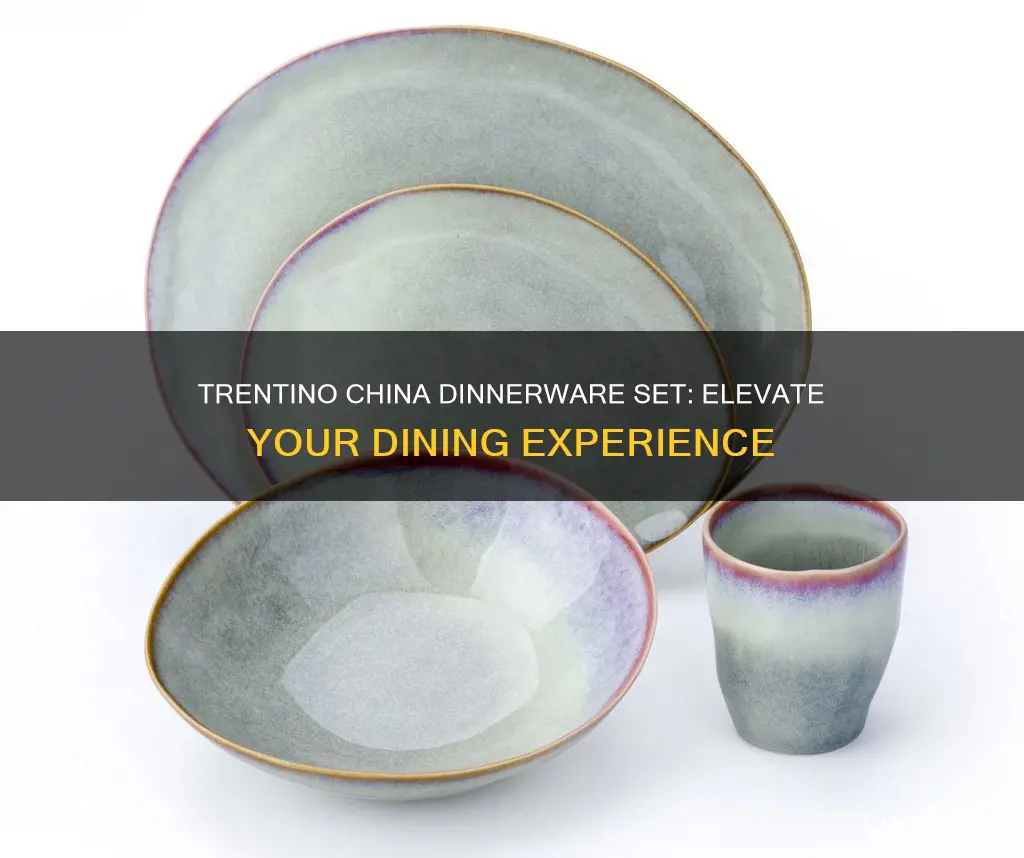 trentino china dinnerware set