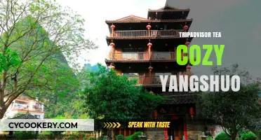TripAdvisor's Top Tea Cozy Spots in Yangshuo: A Traveler's Guide
