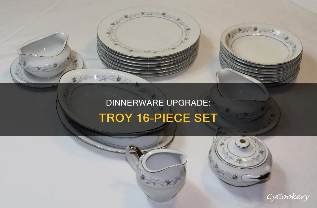 troy 16 piece dinnerware set