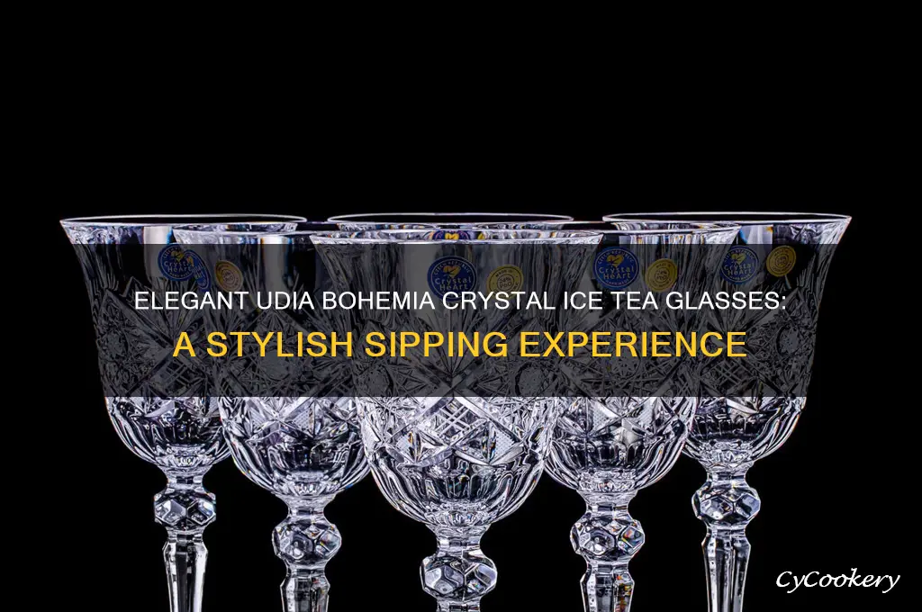 udia bohemia crystal ice tea glass