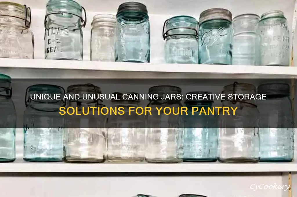 unusual canning jars