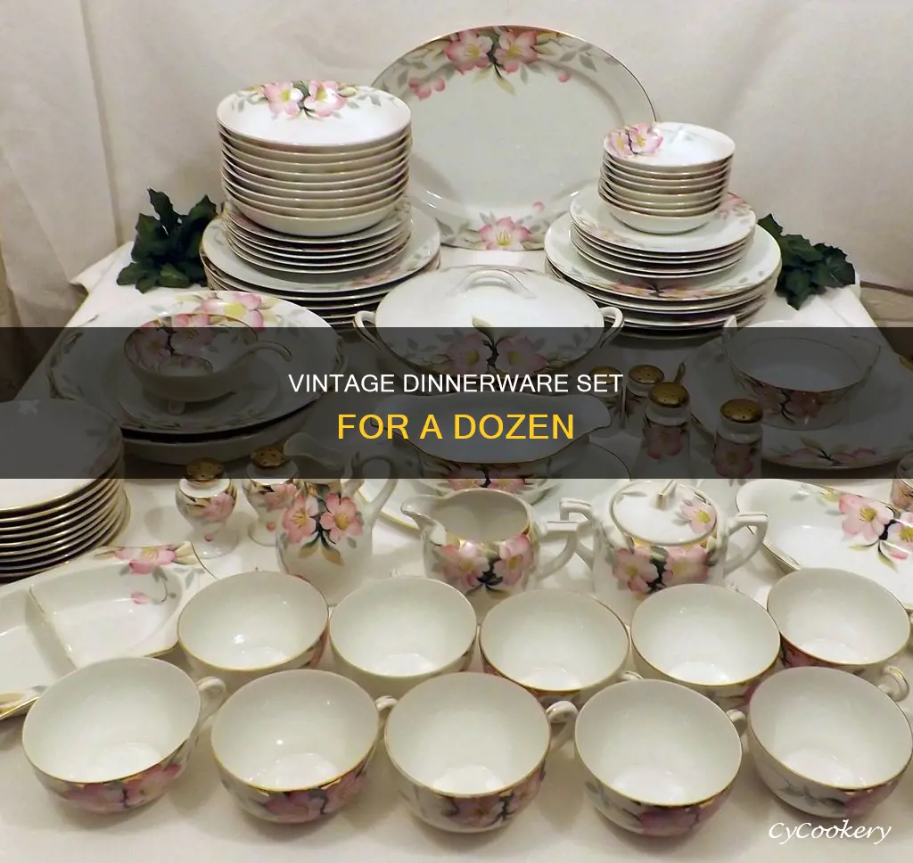 vintage dinnerware set for 12