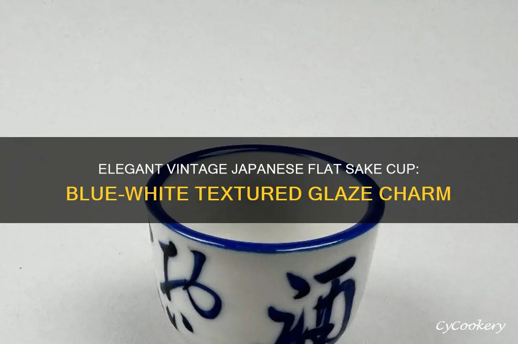 vintage japanese flat sake cup blue and white textured glaze