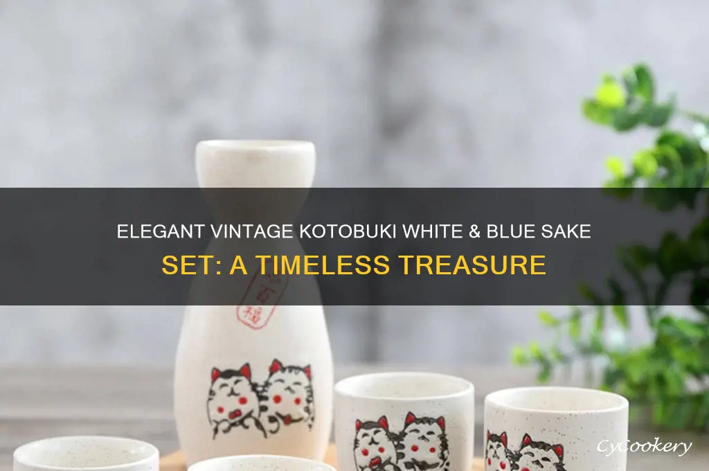 vintage kotobuki white and blue sake set