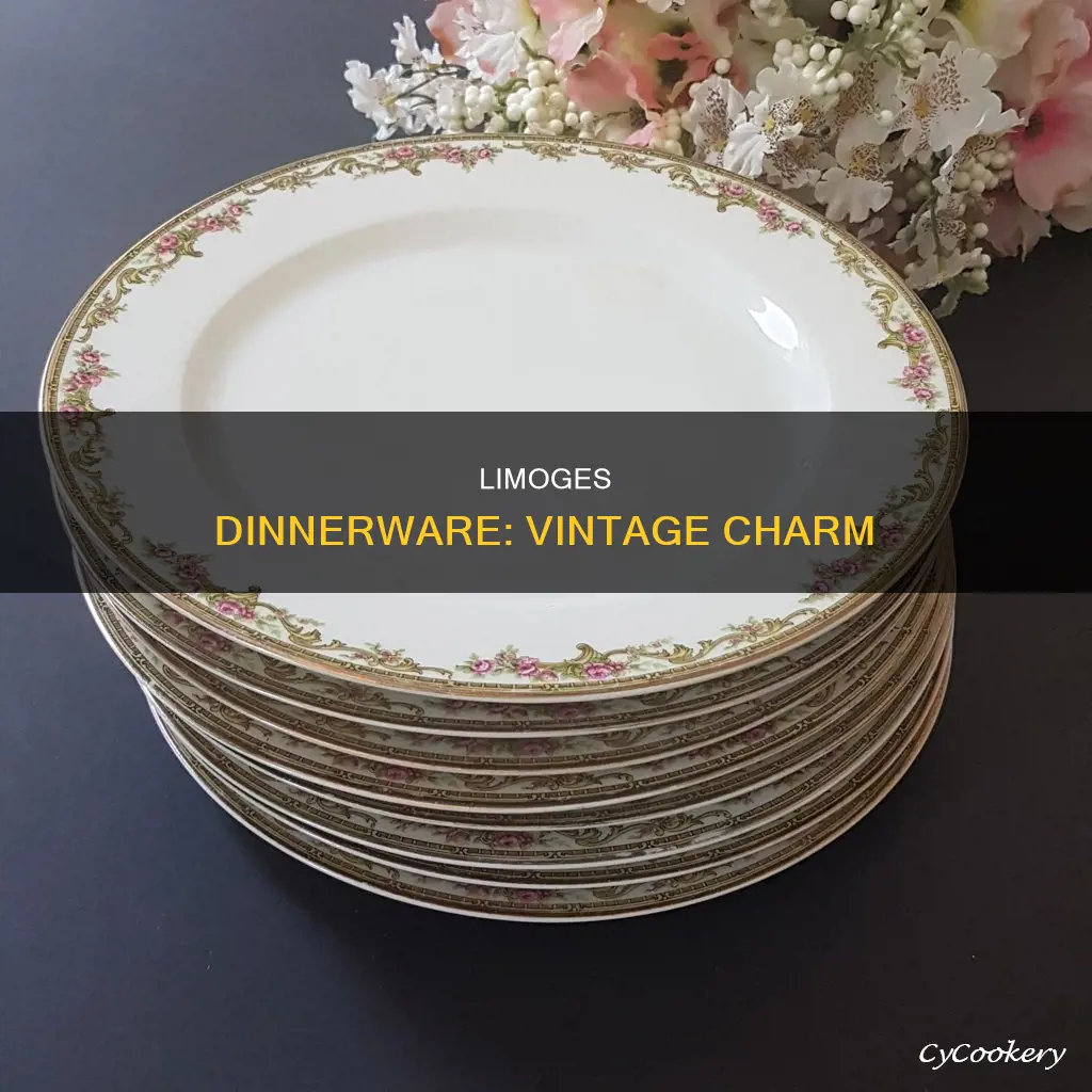 vintage limoge dinnerware sets