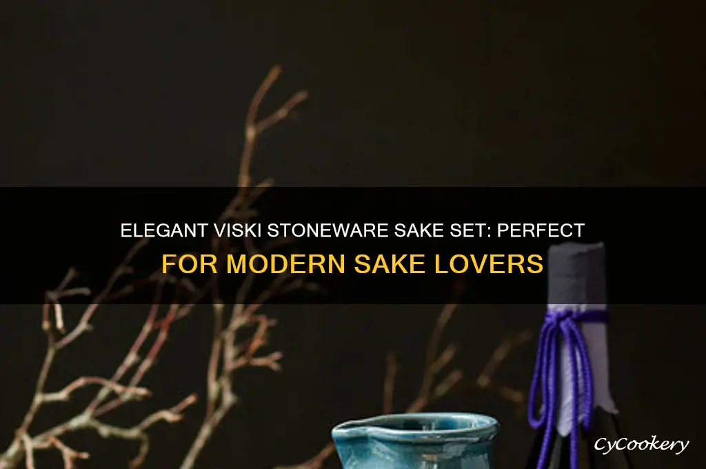 viski stoneware sake set