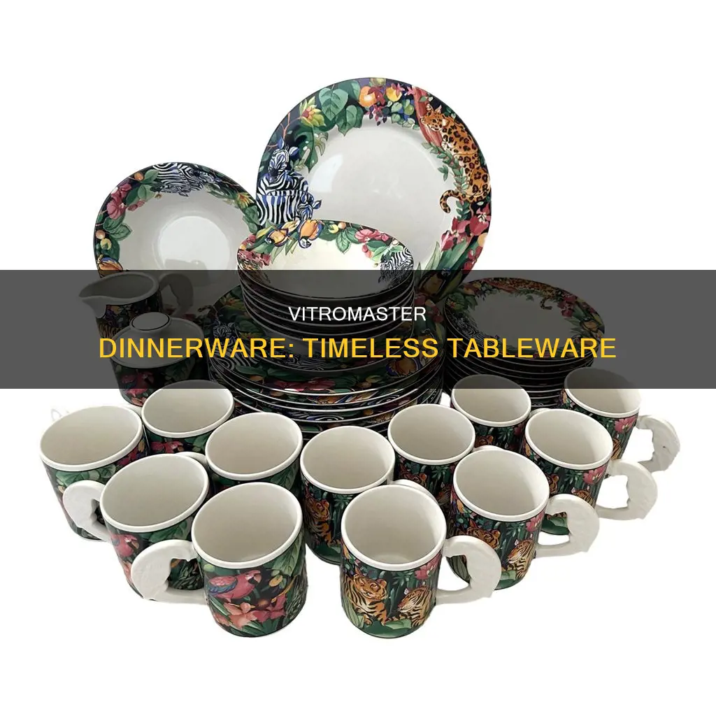 vitromaster dinnerware set