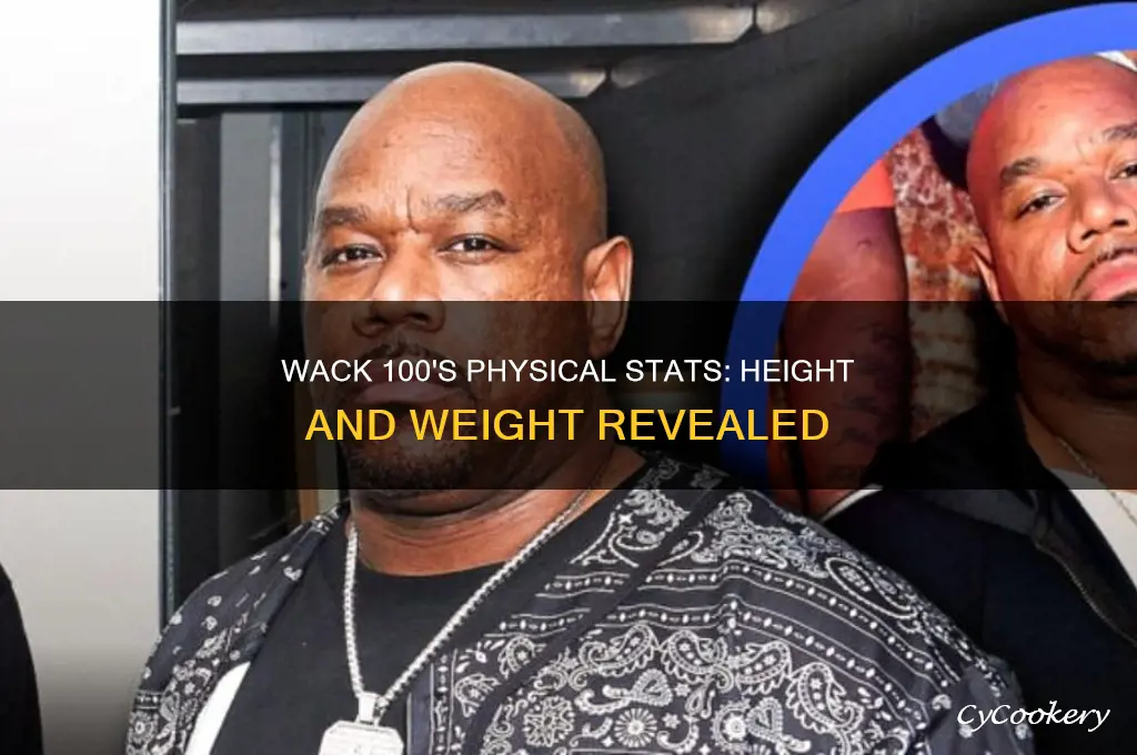 wack 100 height weight