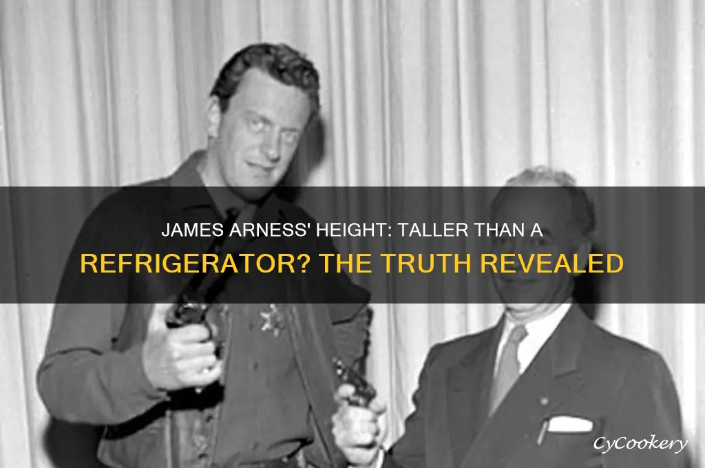was james arness taller than a refrigerator