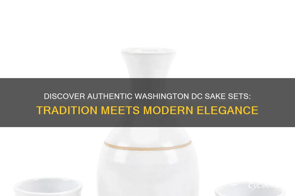 washington dc sake set