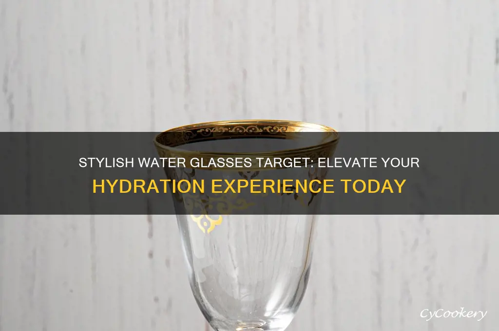 water glasses target