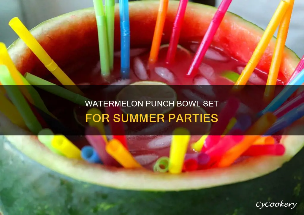 watermelon punch bowl and pitcher set in dinnerware