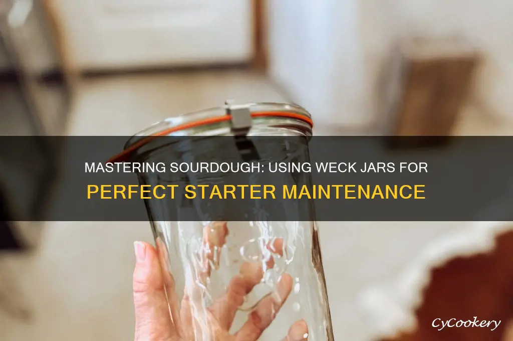 weck sourdough starter jar