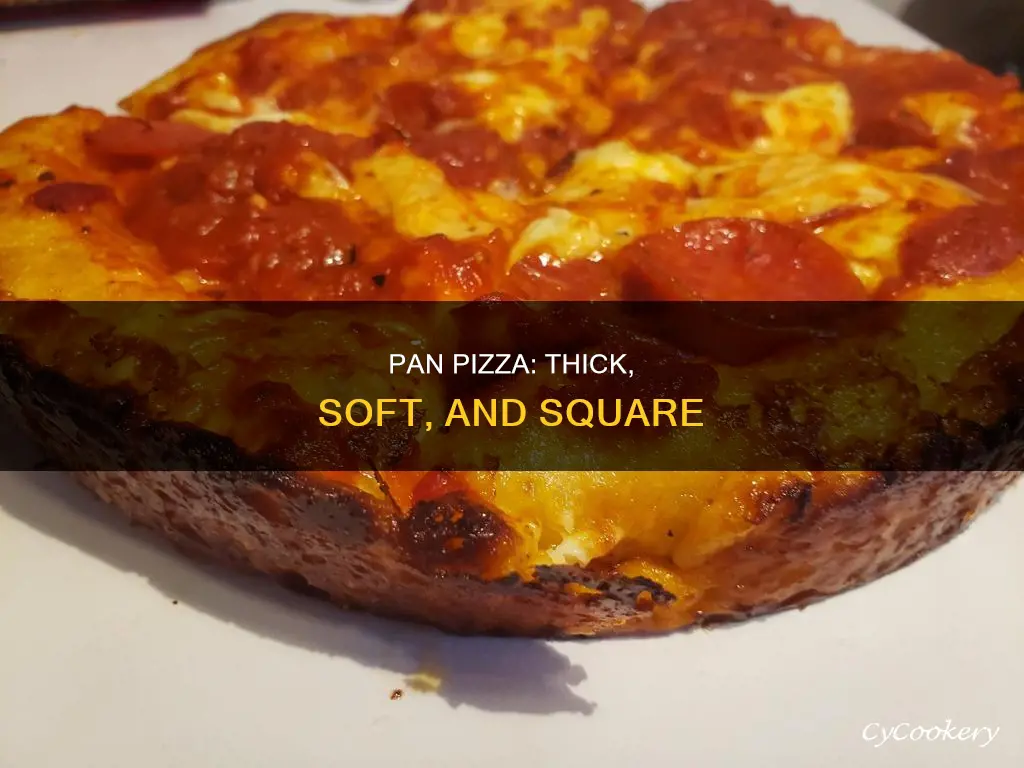 what a pan pizza