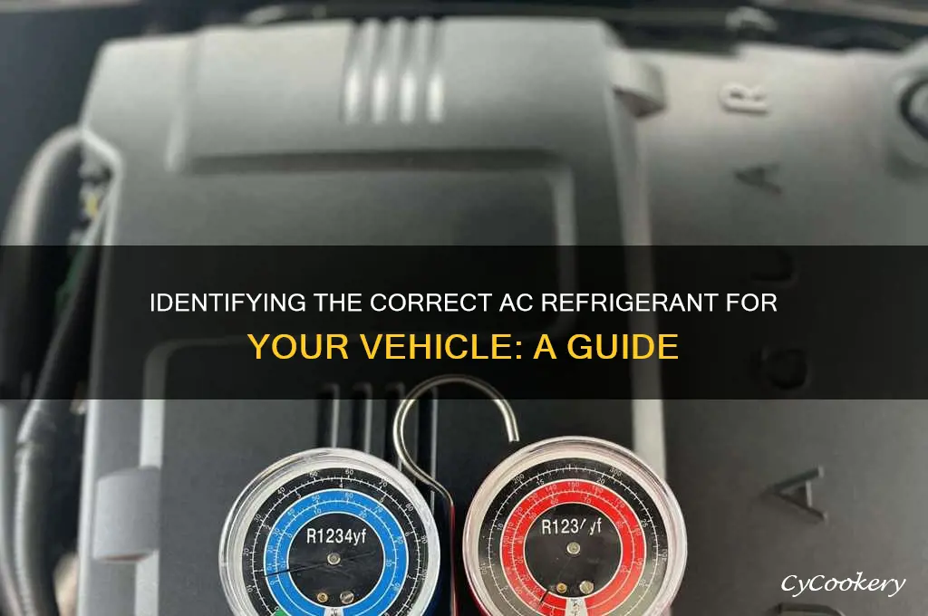 what ac refrigerant does my car use