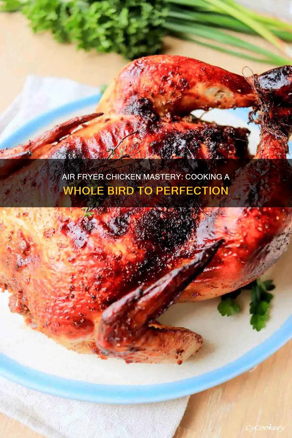 what air fryer can cook a whole chicken