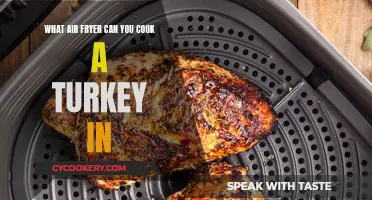 Air Fryers for Turkey and More This Holiday Season