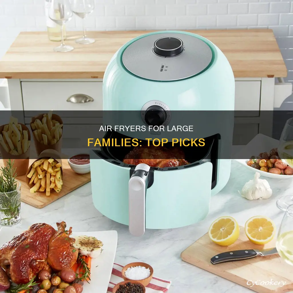 what air fryer cooks the most food