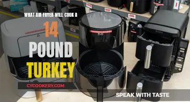 Best Air Fryers for Cooking a 14-Pound Turkey