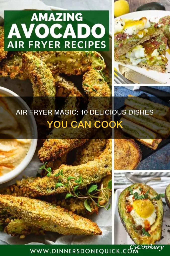 what all can i cook in my air fryer