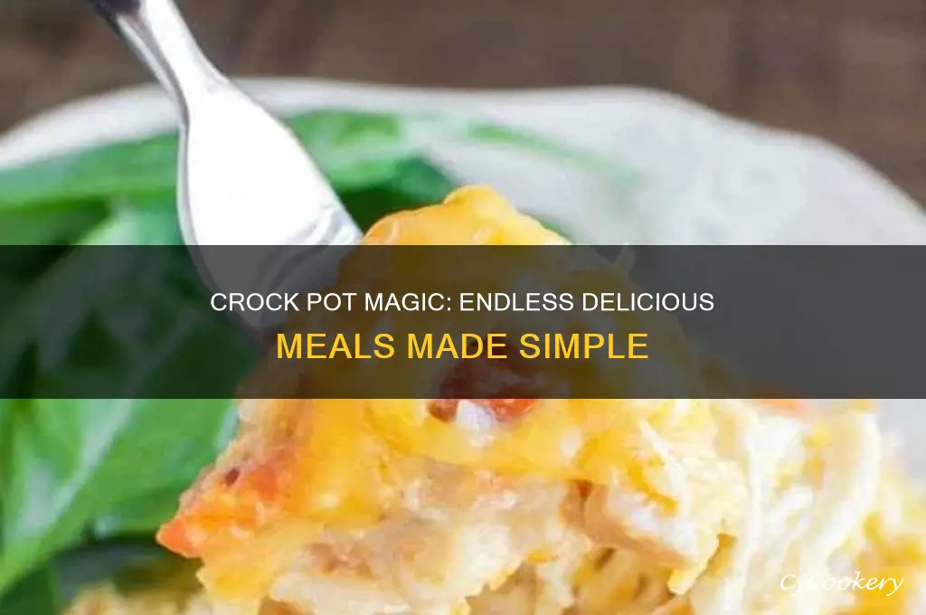 what all can you cook in a crock pot
