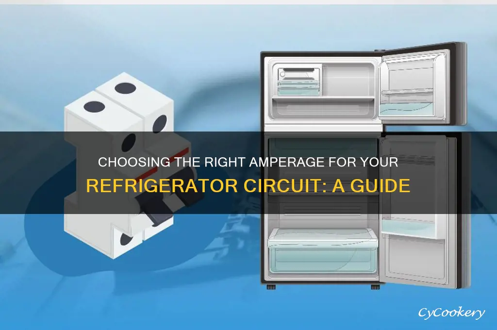 what amperage should a refrigerator circuit be