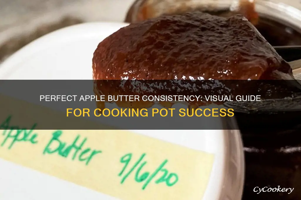 what apple butter consistency should look like in cooking pot