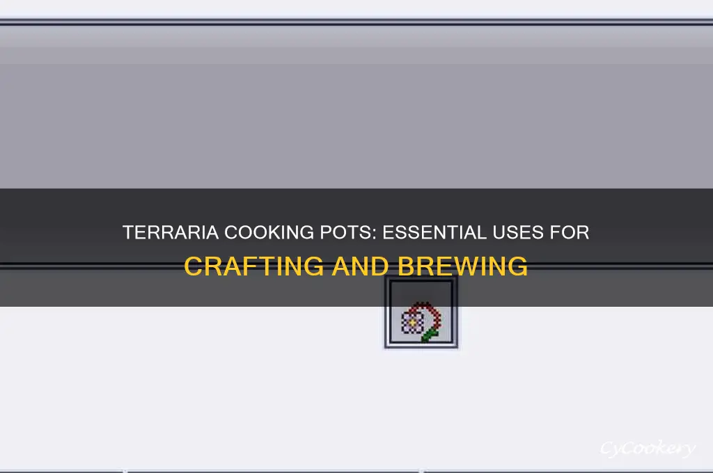 what are cooking pots used for in tarraria