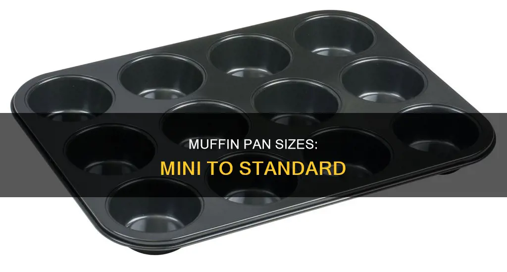 what are different muffin pan sizes