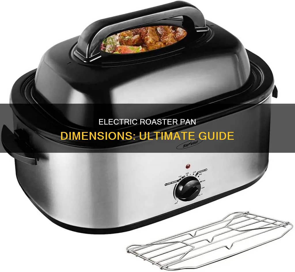 what are electric roaster pan dimensions