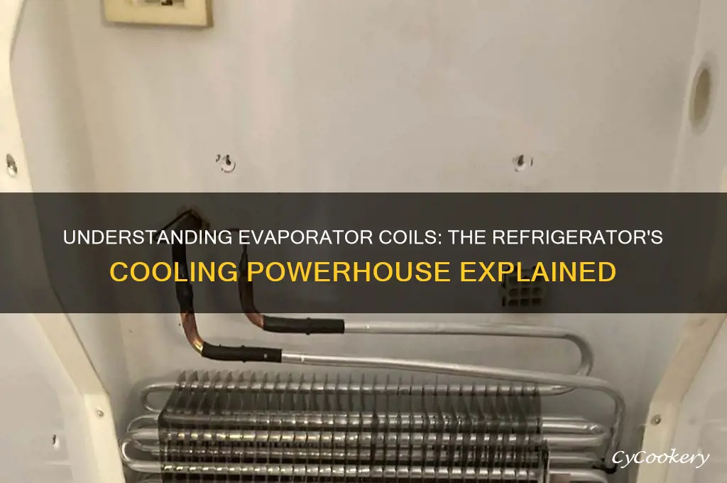 what are evaporator coils in a refrigerator